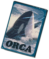 Orca Cards
